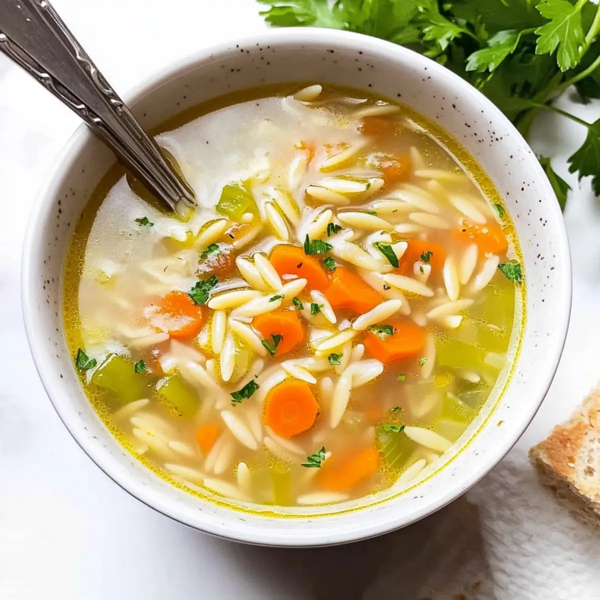 Orzo Soup